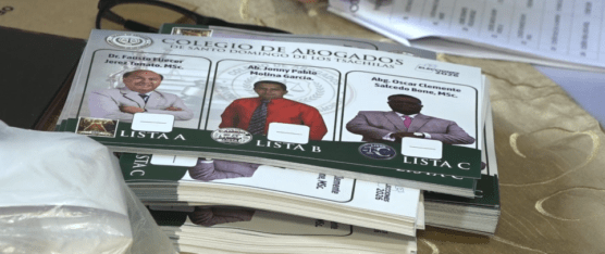 LOS ABOGADOS DE LA PROVINCIA FUERON A LAS URNAS