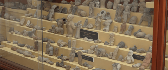 LA CONCEJAL ANA CAICEDO EXPONE QUE PROYECTO DEL MUSEO ESTÁ ESTANCADO