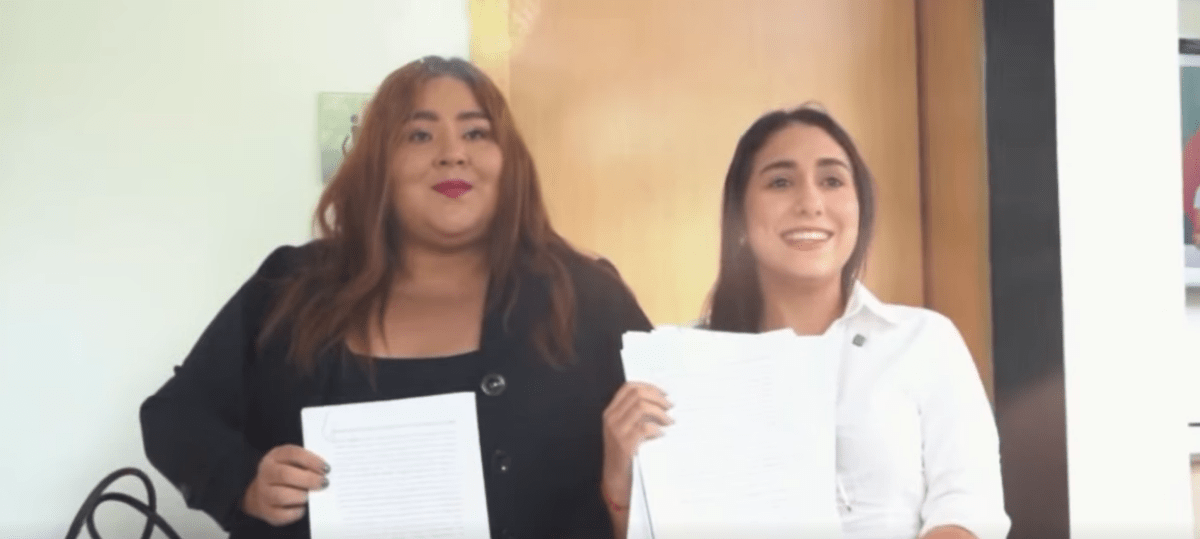 LILIANA SILVA PRESENTÓ UNA ACCIÓN DE INCONSTITUCIONALIDAD