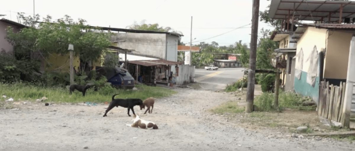 LOS VECINOS DEL RECINTO SAN ANTONIO PIDEN OBRAS