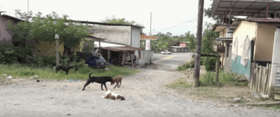 LOS VECINOS DEL RECINTO SAN ANTONIO PIDEN OBRAS